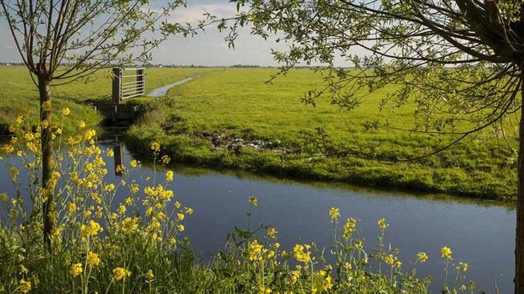 Ronde Hoep