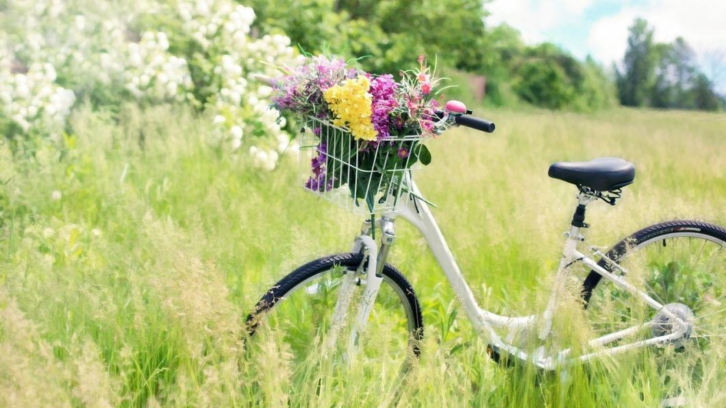 bicycle-788733_1280.jpg