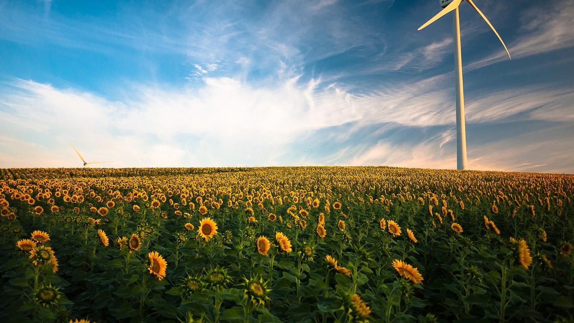 agriculture-1853323_1280.jpg