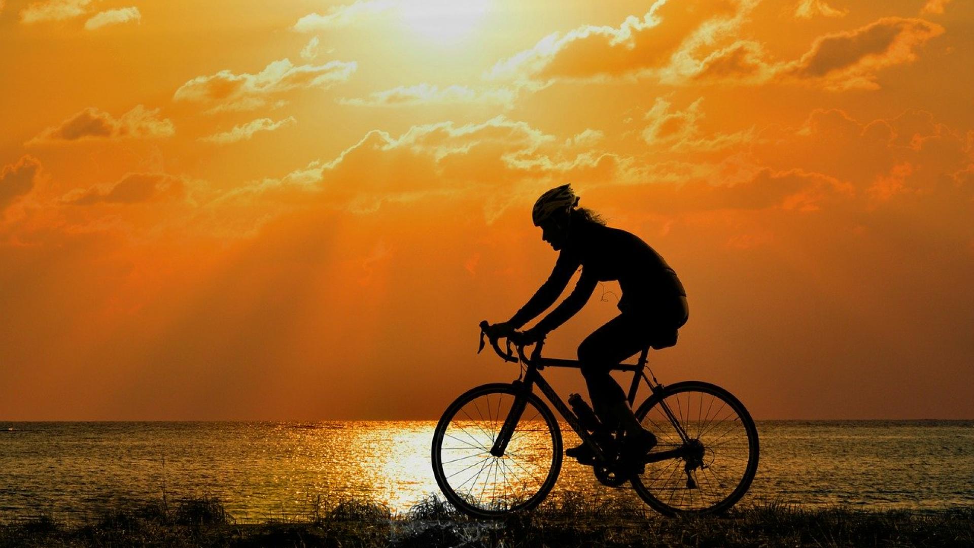 cyclist-4106536_1280.jpg
